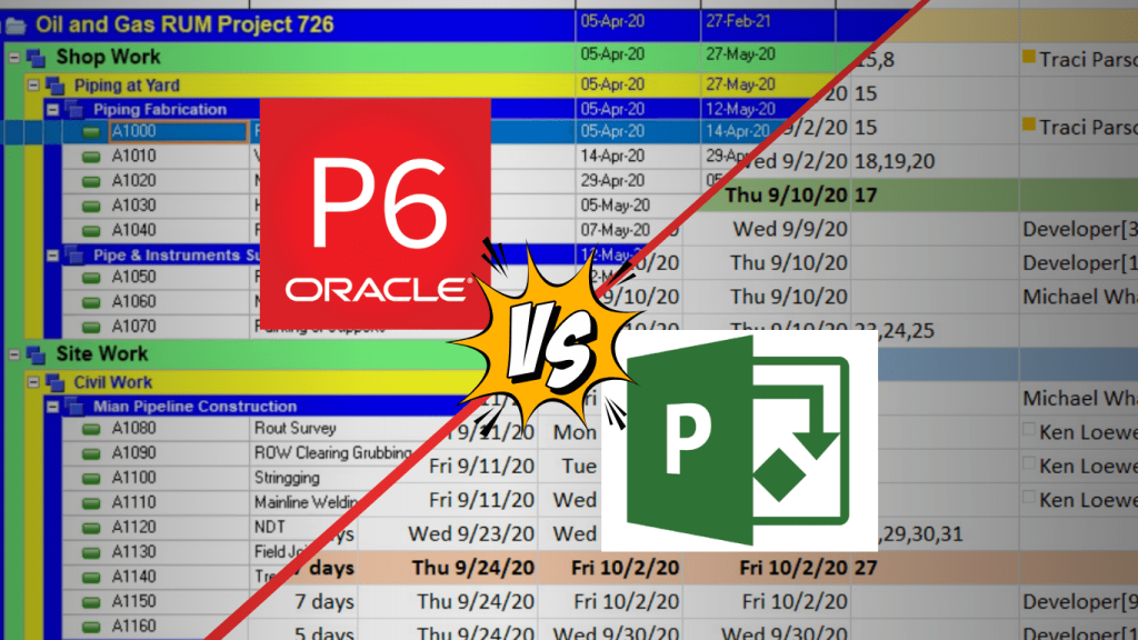 Primavera P6 vs MS Project: Which One is Right for Your Projects?