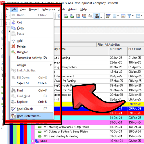 Adjust general settings like date format, currency, time units in Primavera p6