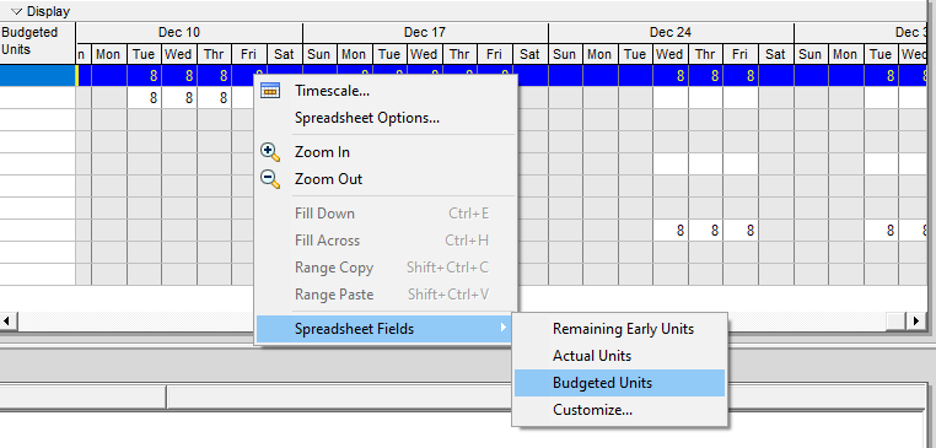 Adjust the Spreadsheet Fields in the Chart Area in Primavera P6