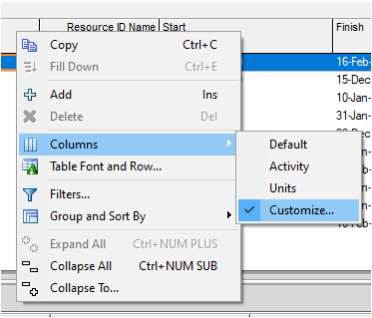 Customize the Resource Assignment View