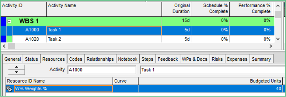 In the Budgeted Units field, enter a numeric value to represent each activity's weight