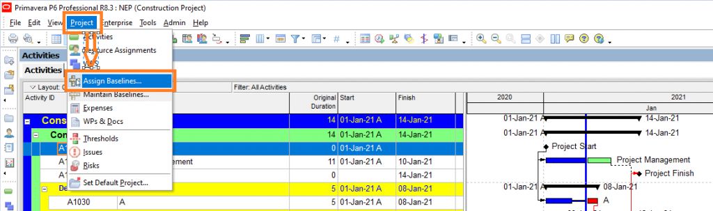 Assign one baseline as the Project Baseline