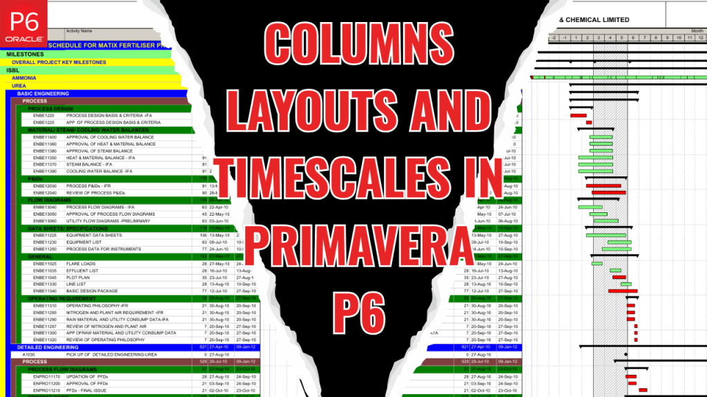 How to Set Up Columns, Layouts, and Timescales in Primavera P6