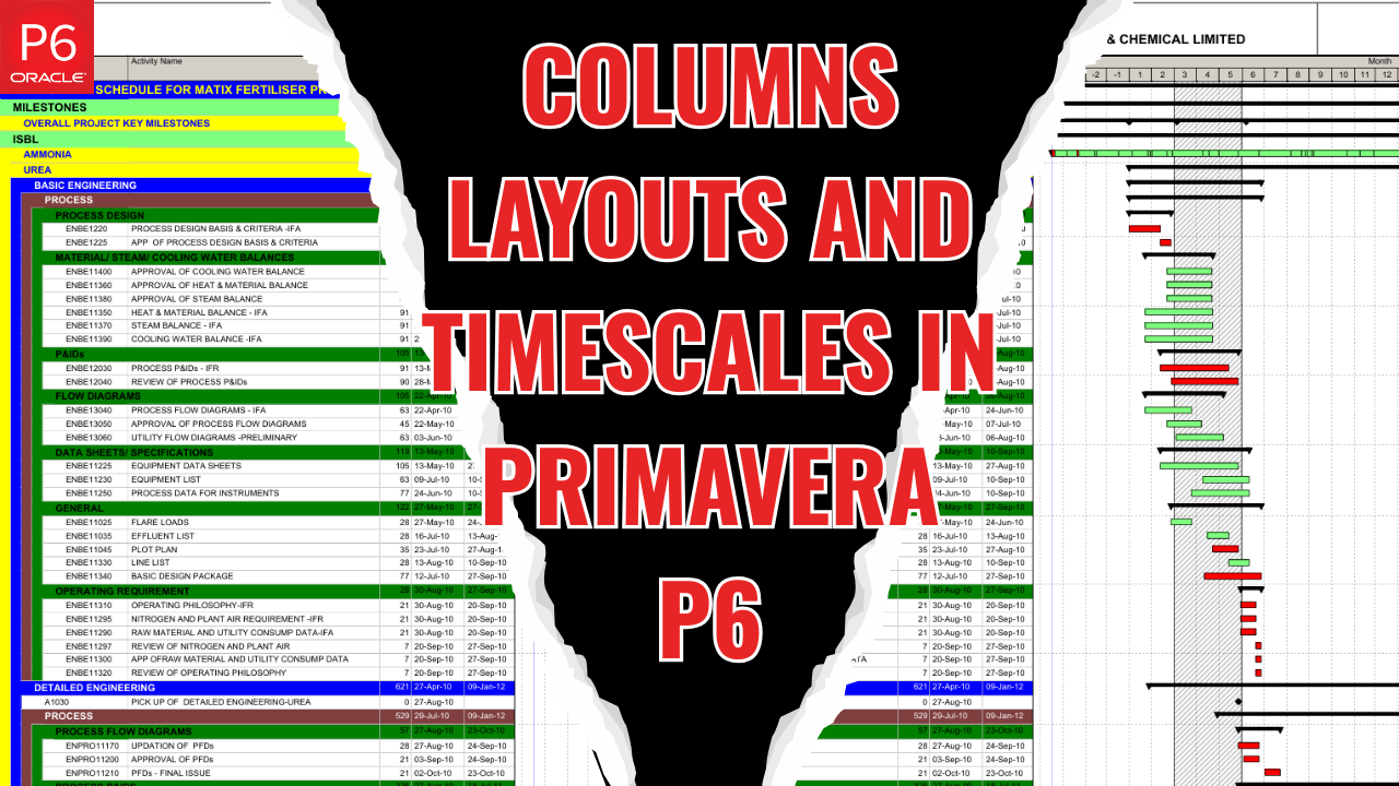 How to Set Up Columns, Layouts, and Timescales in Primavera P6