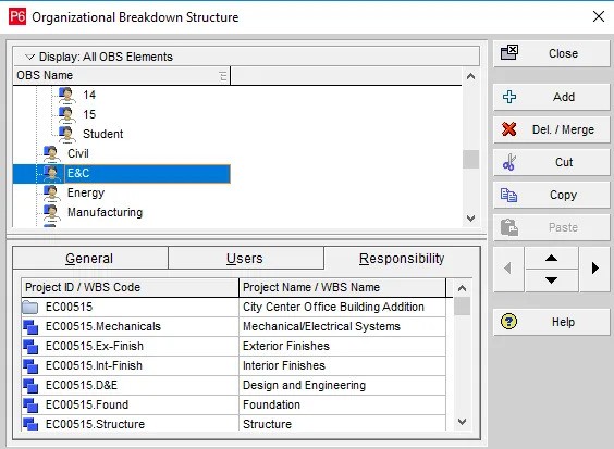 Responsibility Tab: Viewing Assigned Projects and Structures