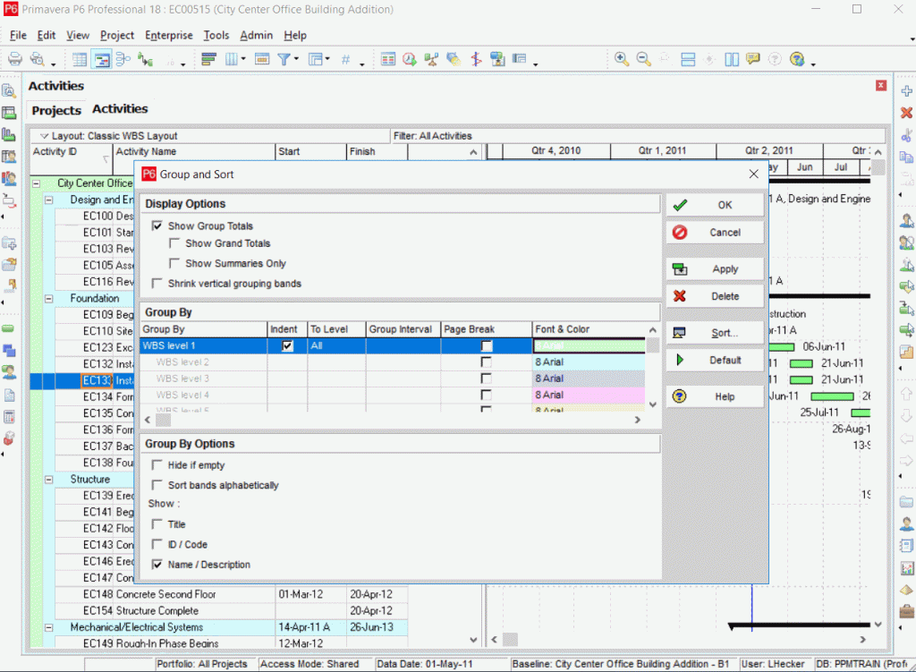 To customize how each group appears, click in the Font & Color cell beside each WBS level. You can modify: