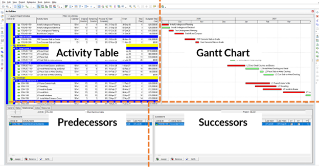 Primavera P6 interface
