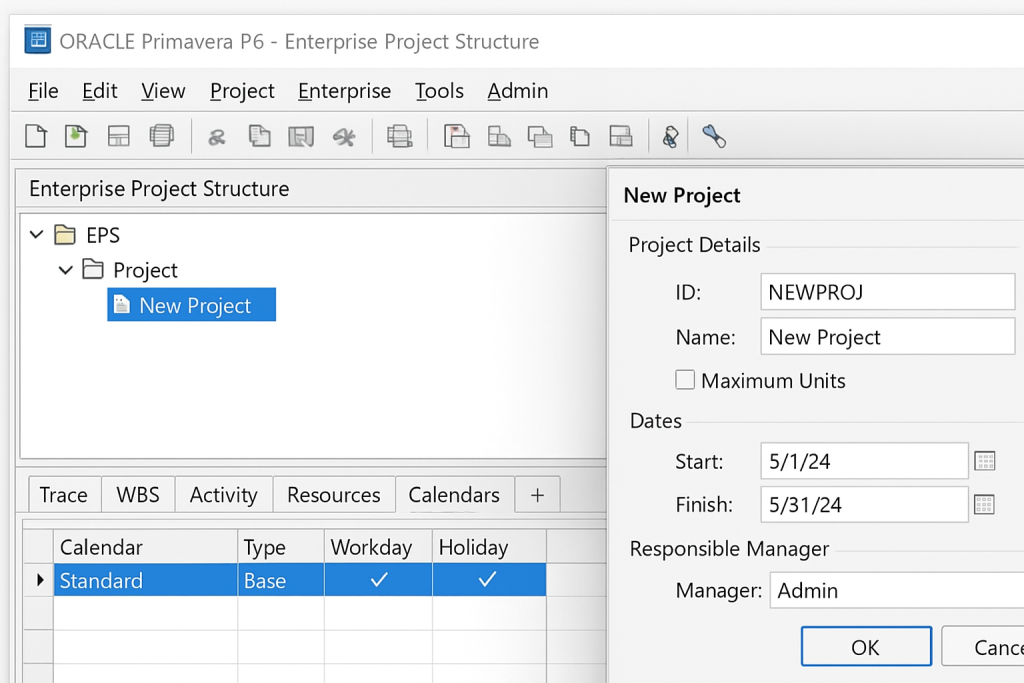 Step-by-Step Guide On Using Primavera P6 Enterprise Project Portfolio Management