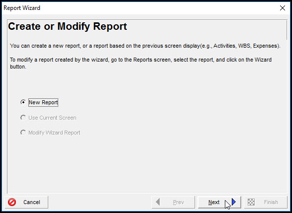 create a monthly report in Primavera P6