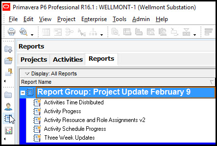 Primavera P6 professional reporting