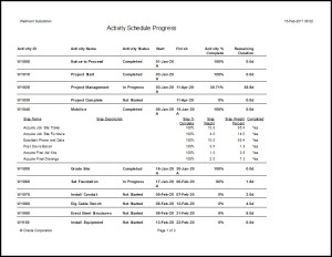 How to Create Reports in Primavera P6 Professional? - The Skills Age