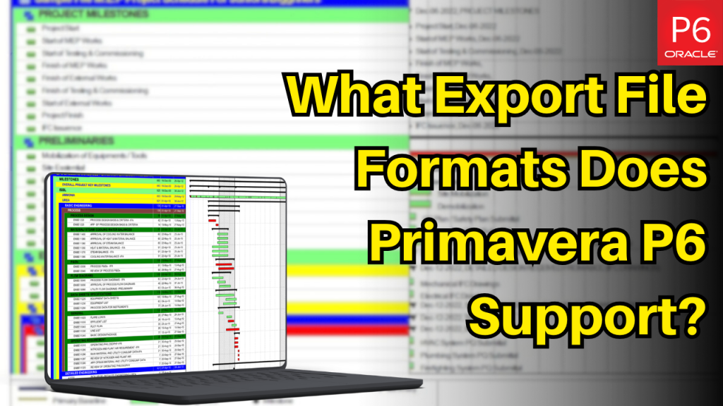Export File Formats Primavera P6 Support